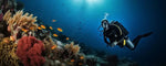 Belajar Scuba Diving dengan Cara Latihan Mudah dan Aman