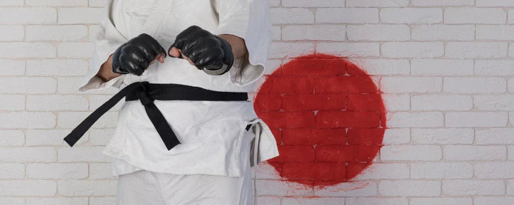 A Good, Comfortable &amp; Punch-Resistant Taekwondo Body Protector