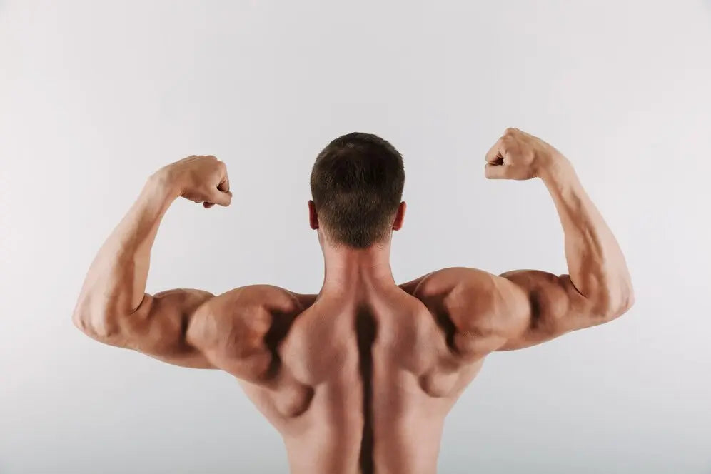 How to Build Wing Muscles at Home Properly and Correctly SVRG