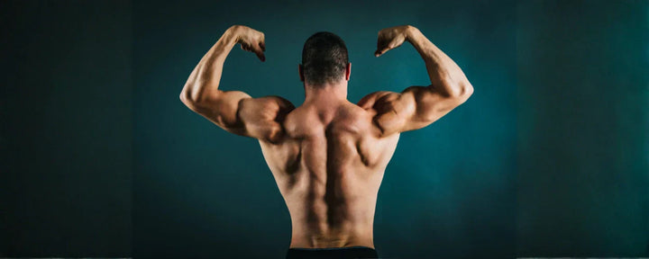 Dry Muscle vs Wet Muscle, Which is Better?