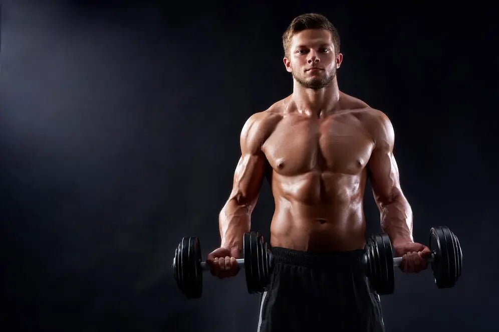 Panduan Cara Bulking yang Benar untuk Meningkatkan Massa Tubuh dengan Efektif