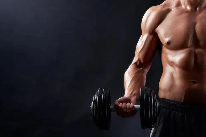 Guide to Creating a Gym Schedule for Beginners