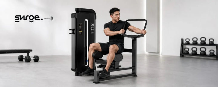 Rotary Torso Machine: Equipment Details and Buying Guide