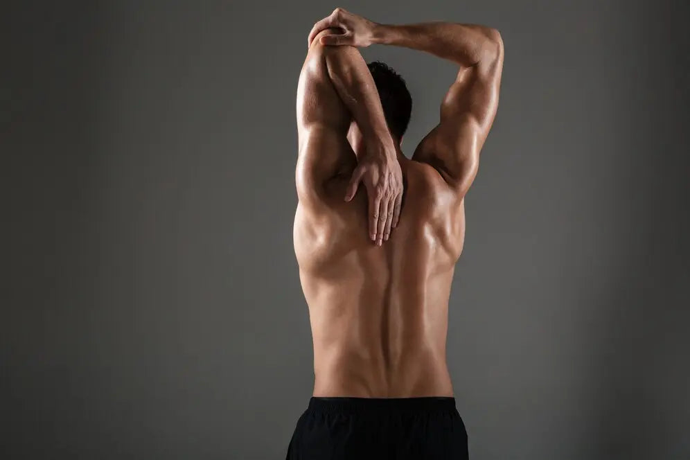 Variasi Latihan Otot Bahu untuk Dilakukan di Rumah dan Gym