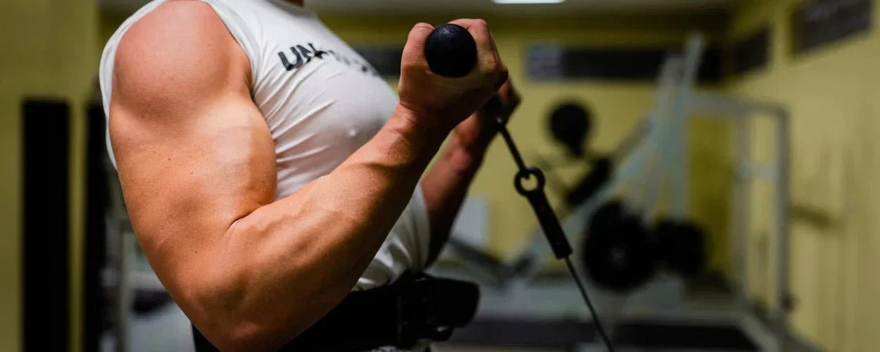 biceps curl adalah