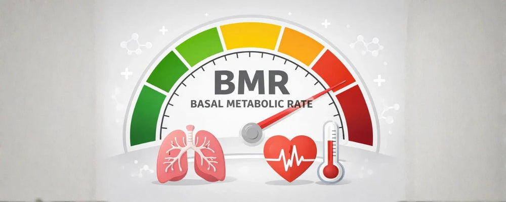 Apa Itu BMR dan Mengapa Penting untuk Dietmu?