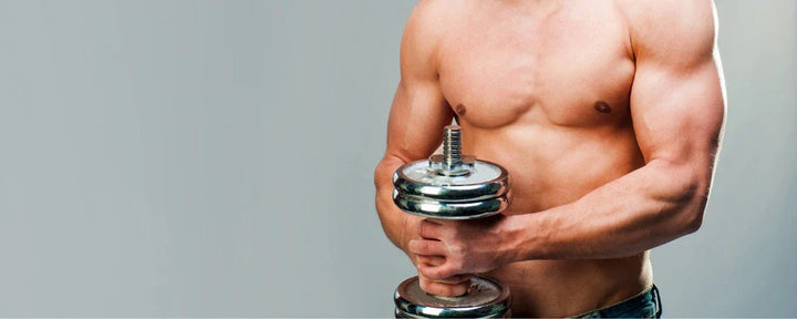 Panduan Bulking yang Benar untuk Meningkatkan Massa Otot