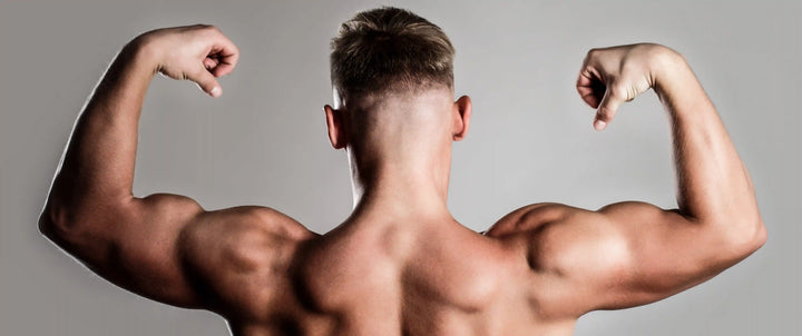 How to Build Wing Muscles at Home Properly and Correctly
