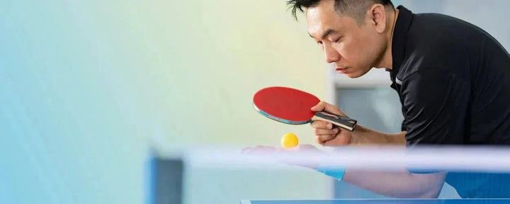peralatan tenis meja untuk pemula