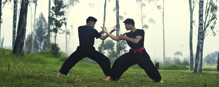Gambar ini menampilkan gerakan silat dengan posisi kuda-kuda kuat, tangan saling berhadapan, dan fokus pada teknik serang-tangkis dalam latihan bela diri tradisional