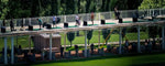 Golf Driving Range: Manfaat & Teknik Latihan Swing Efektif