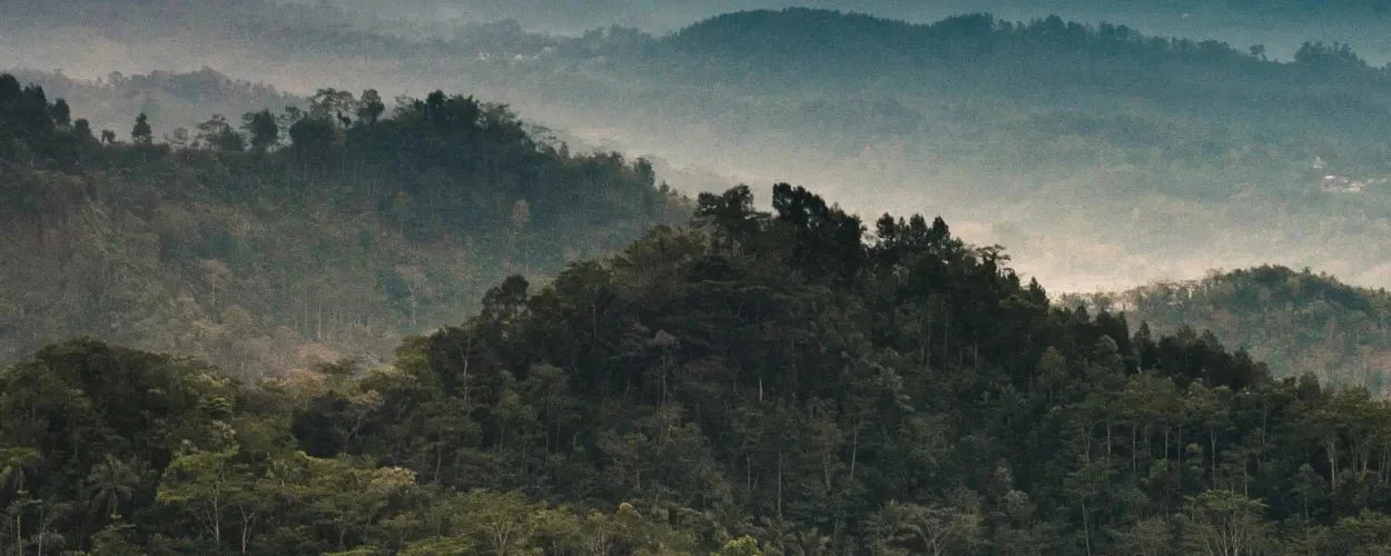 gunung untuk pemula di jawa barat