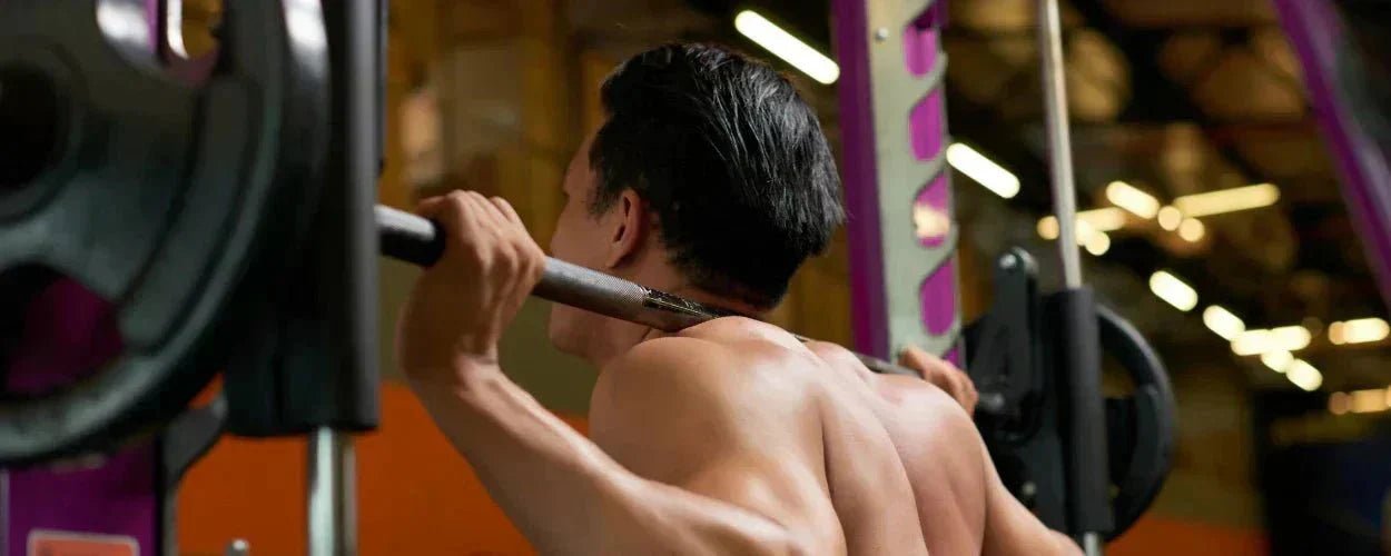 harga smith machine gym