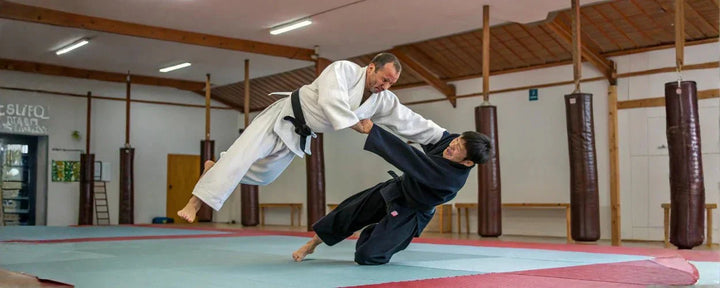 jiu jitsu adalah seni bela diri yang menekankan teknik kuncian, bantingan, dan pengendalian lawan menggunakan keseimbangan serta teknik tubuh, bukan kekuatan semata.