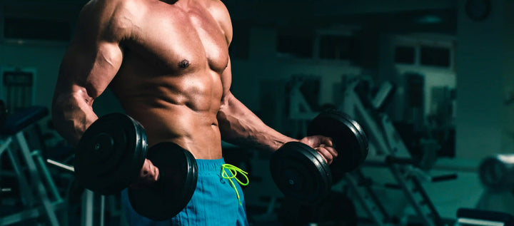 Seorang pria sedang berlatih dengan dumbbell di gym, menampilkan otot tubuh yang terlatih sebagai bagian dari latihan otot dada gym