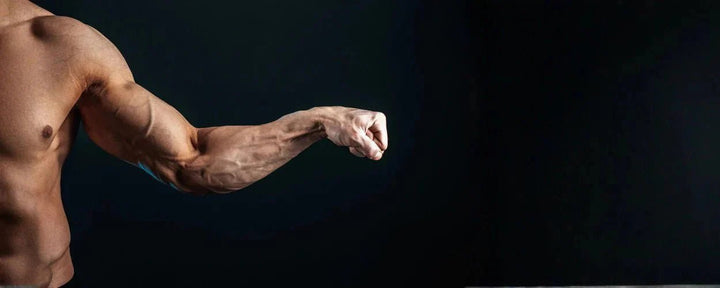 Lengan pria dengan otot dan urat yang sangat menonjol, dalam posisi mengepal untuk menunjukkan latihan otot forearm yang konsisten