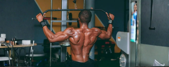 7 Effective Trapezius Muscle Exercises at the Gym for Beginners