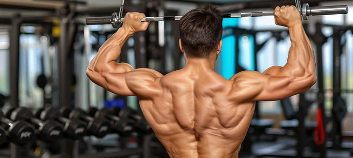 seorang pria sedang melakukan latihan shoulder di gym untuk memperkuat otot bahu dan meningkatkan kekuatan tubuh bagian atas