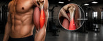 Cara Melatih Long Biceps agar Otot Lebih Terbentuk