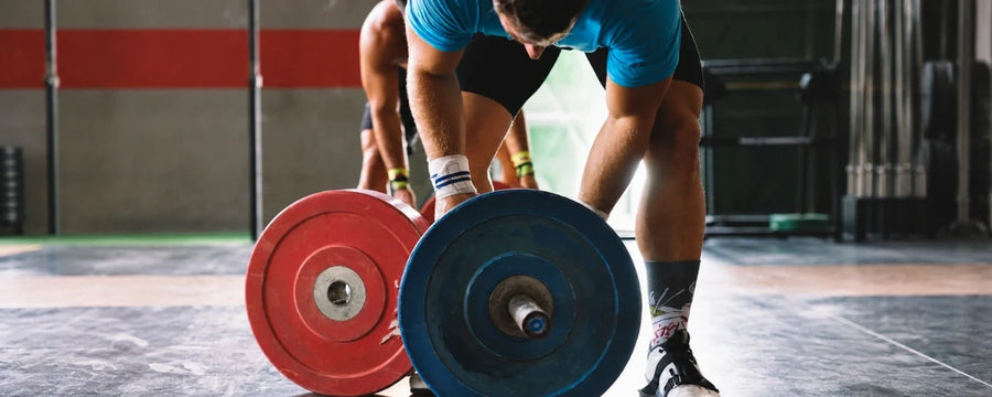 5 Manfaat Bumper Plates untuk Latihan Beban dan Home Gym