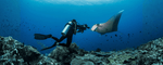 Manfaat Scuba Diving untuk Tubuh, Pikiran & Jiwa