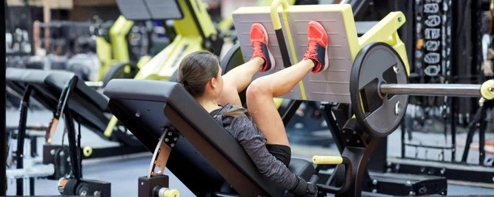 Apa itu Otot Quadriceps? ini Fungsi & Cara Latihan Efektif!