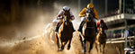 Horse Racing: History, Types of Races, and Rules!