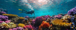 seorang penyelam yang berada di kedalaman laut di antara terumbu karang berwarna-warni, menggambarkan perbedaan snorkeling dan diving yang terlihat dari kedalaman eksplorasi serta perlengkapan yang digunakan