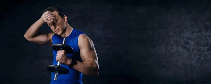 Bulking Program for Beginners: Menu, Workouts, & Important Tips