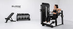 Seated Dip Machine: Manfaat, Detail & Faktor Kualitas Alat