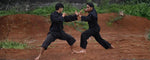 Panduan Lengkap Teknik Dasar Silat Tradisional Indonesia