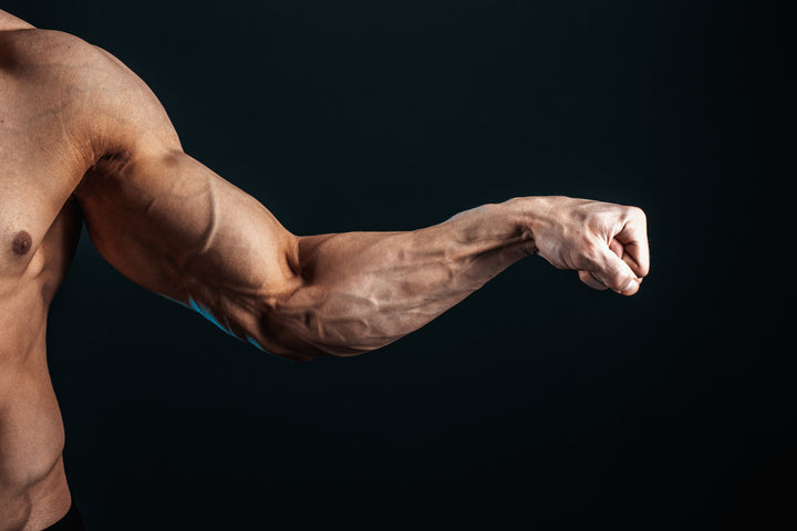 8 Latihan Otot Forearm yang Efektif untuk Memperkuat Grip