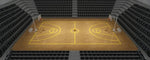 Complete Basketball Court Dimensions According to FIBA & NBA Rules