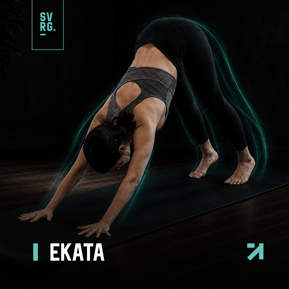 cover ekata
