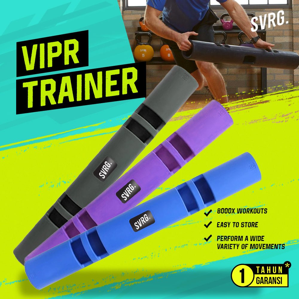 ViPR Training Rox – SVRG
