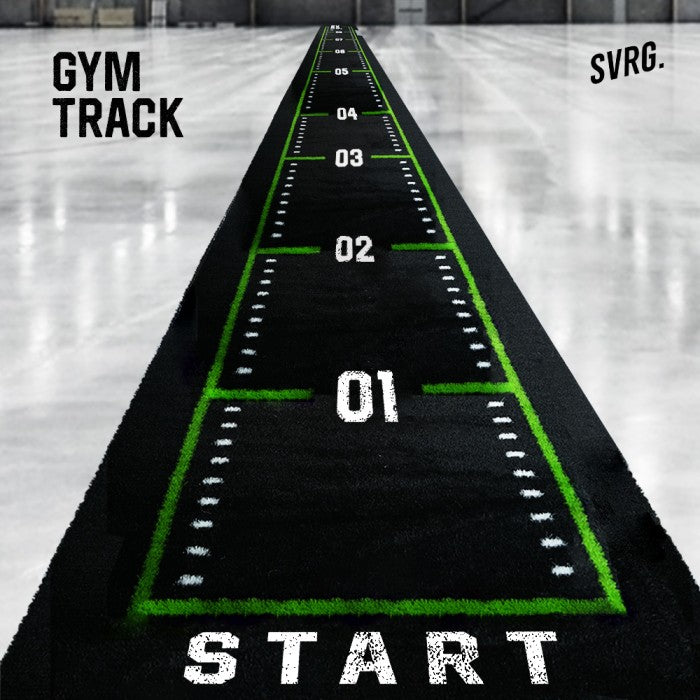 Sled Gym Track & Gym Sled