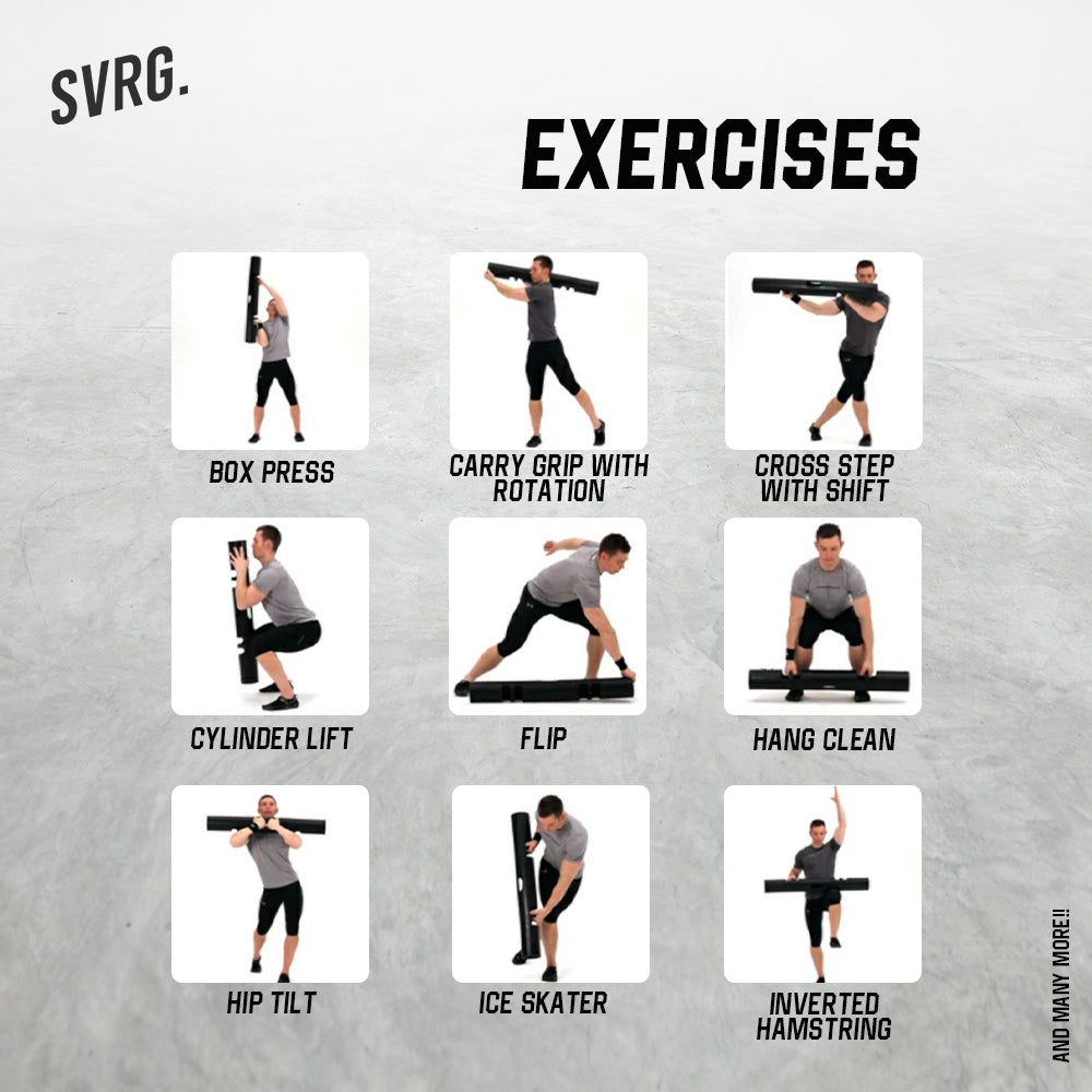 ViPR Training Rox – SVRG