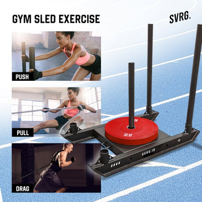 Sled Gym Track & Gym Sled