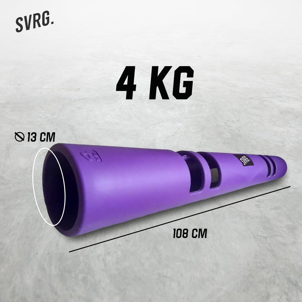 ViPR Training Rox - SVRG